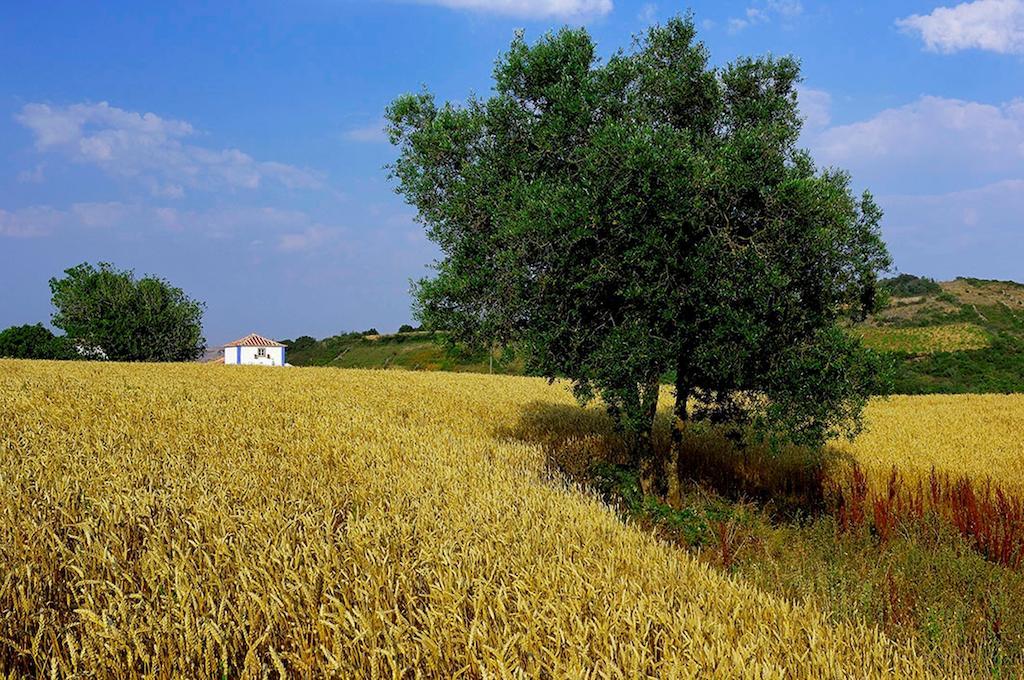 מלון מאפרה Aldeia Da Mata Pequena מראה חיצוני תמונה